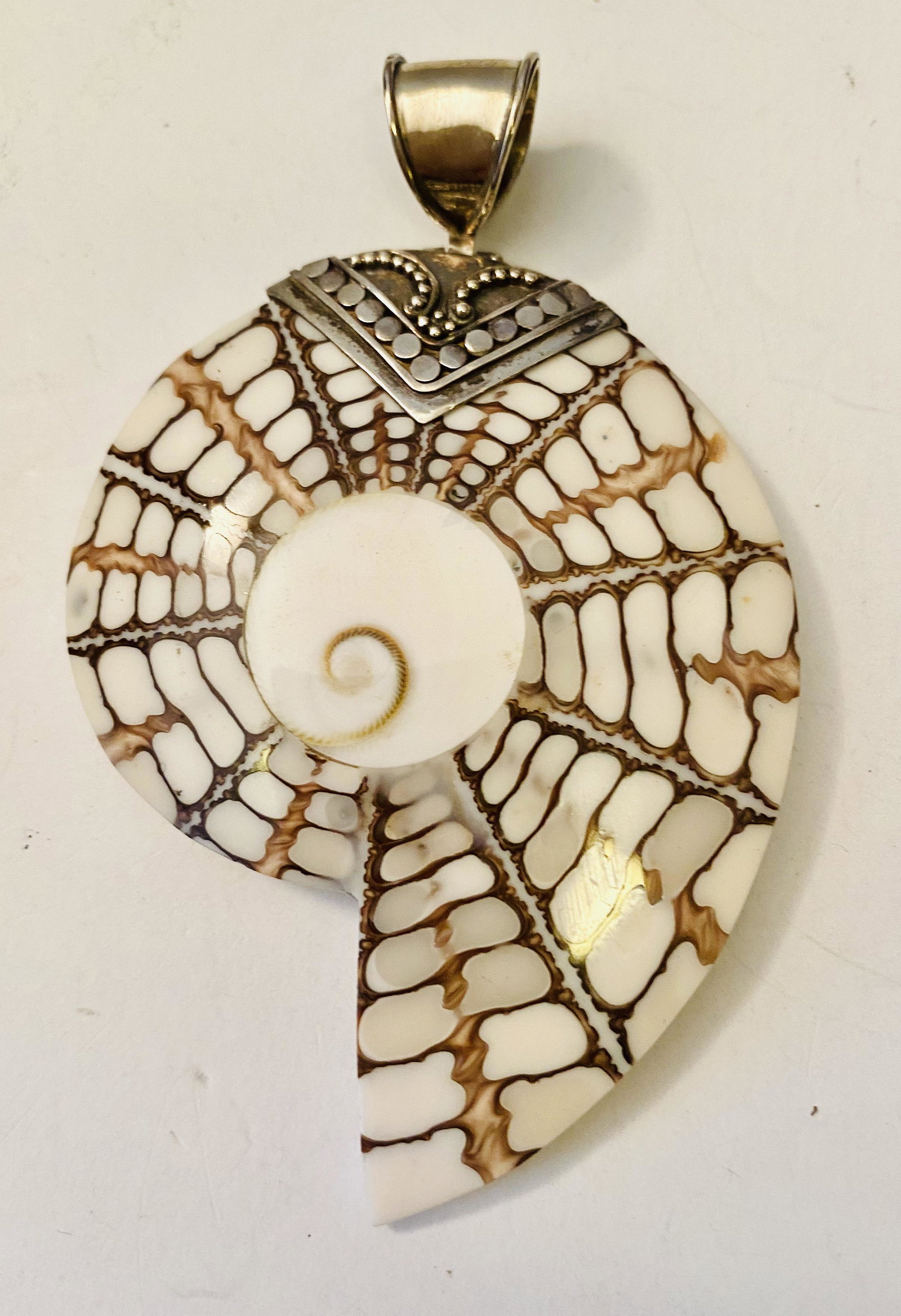 Shell sterling pendant in shell form: Sliced seashell pendant set in sterling silver with fancy bail - about 3 inches high