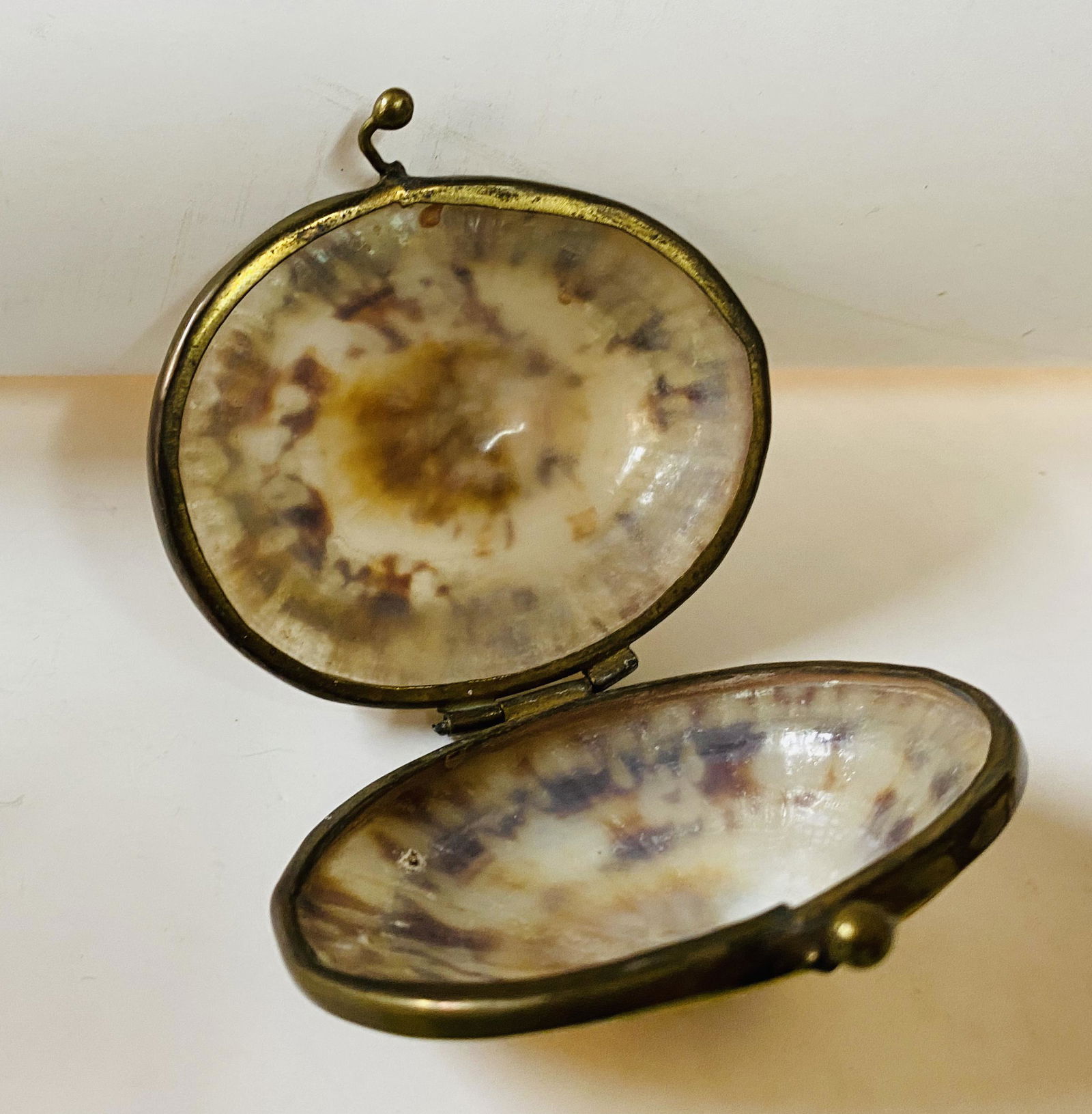 Shell limpet vintae box with metal bezel (1 of 2)