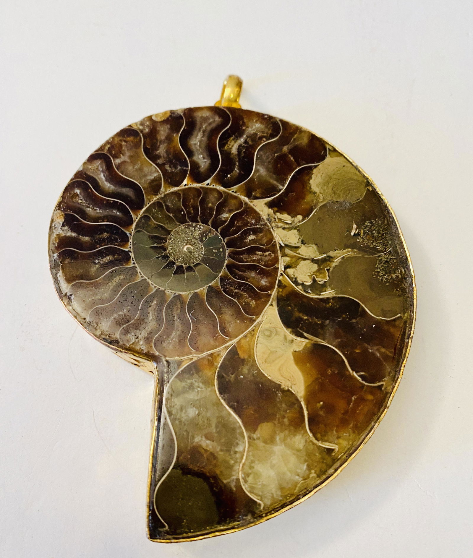 Ammonite large fossil pendant bezel set (1 of 3)