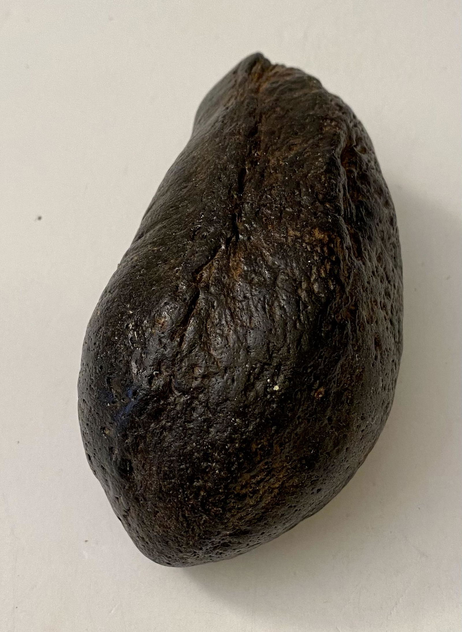 Fossil whale eardrum specimen: Fossil eardrum from whale - south east USA about 15 million years old from Miocene period. Good condition-about 3-4 inches