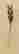 item-125999162=2