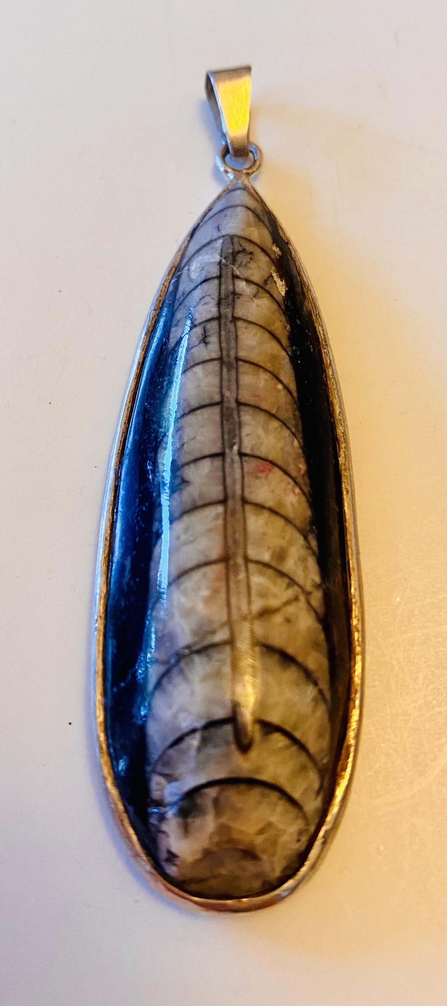 Fossil sterling ammonite pendant (1 of 3)