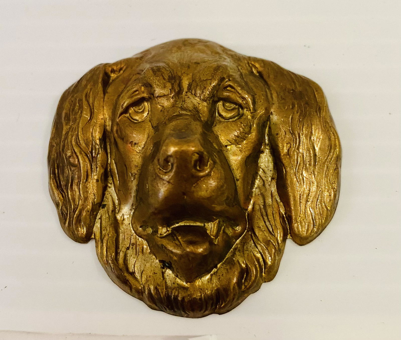 Copper vintage dog head (1 of 3)