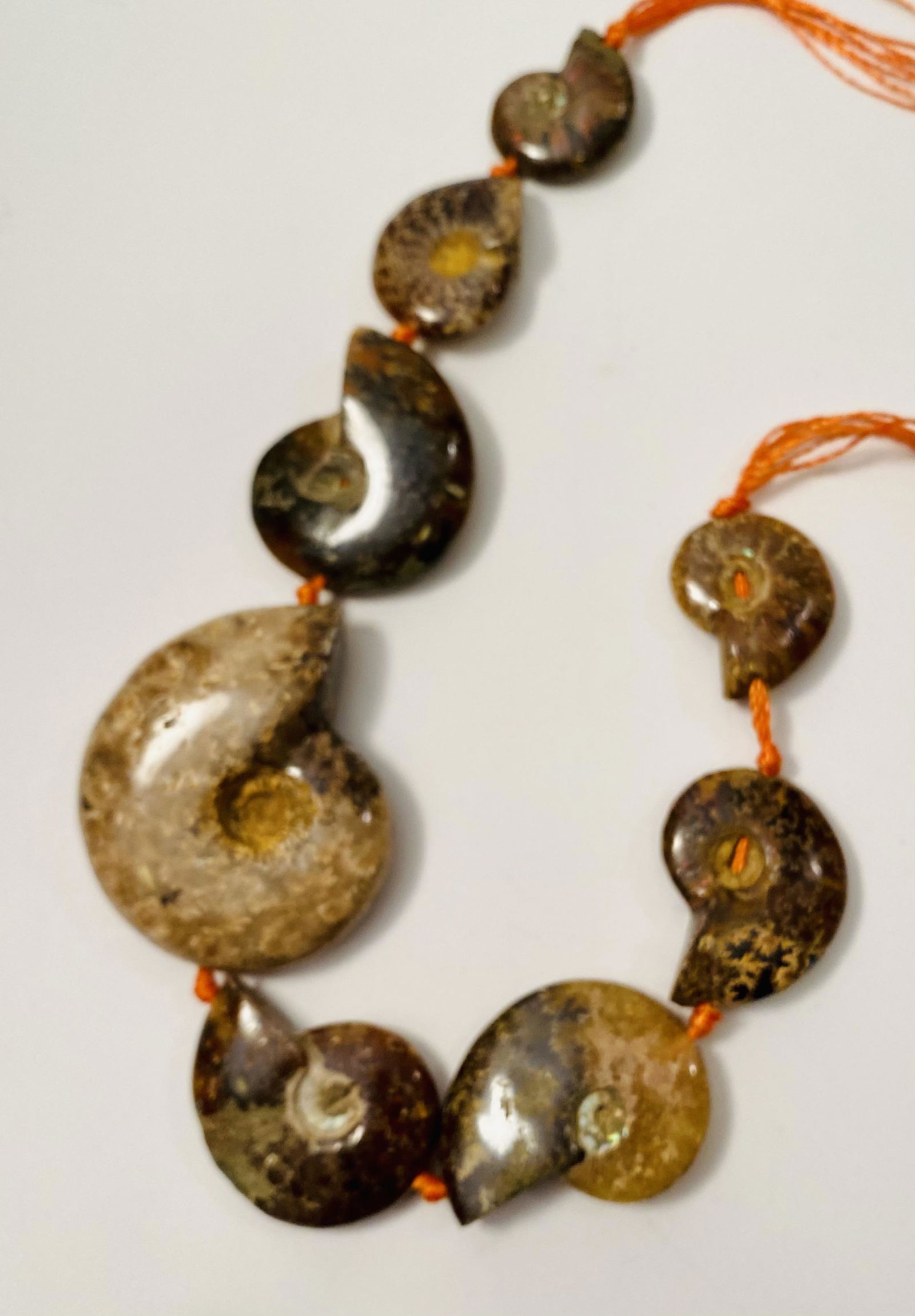 Ammonite fossil drilled beads (1 of 5)