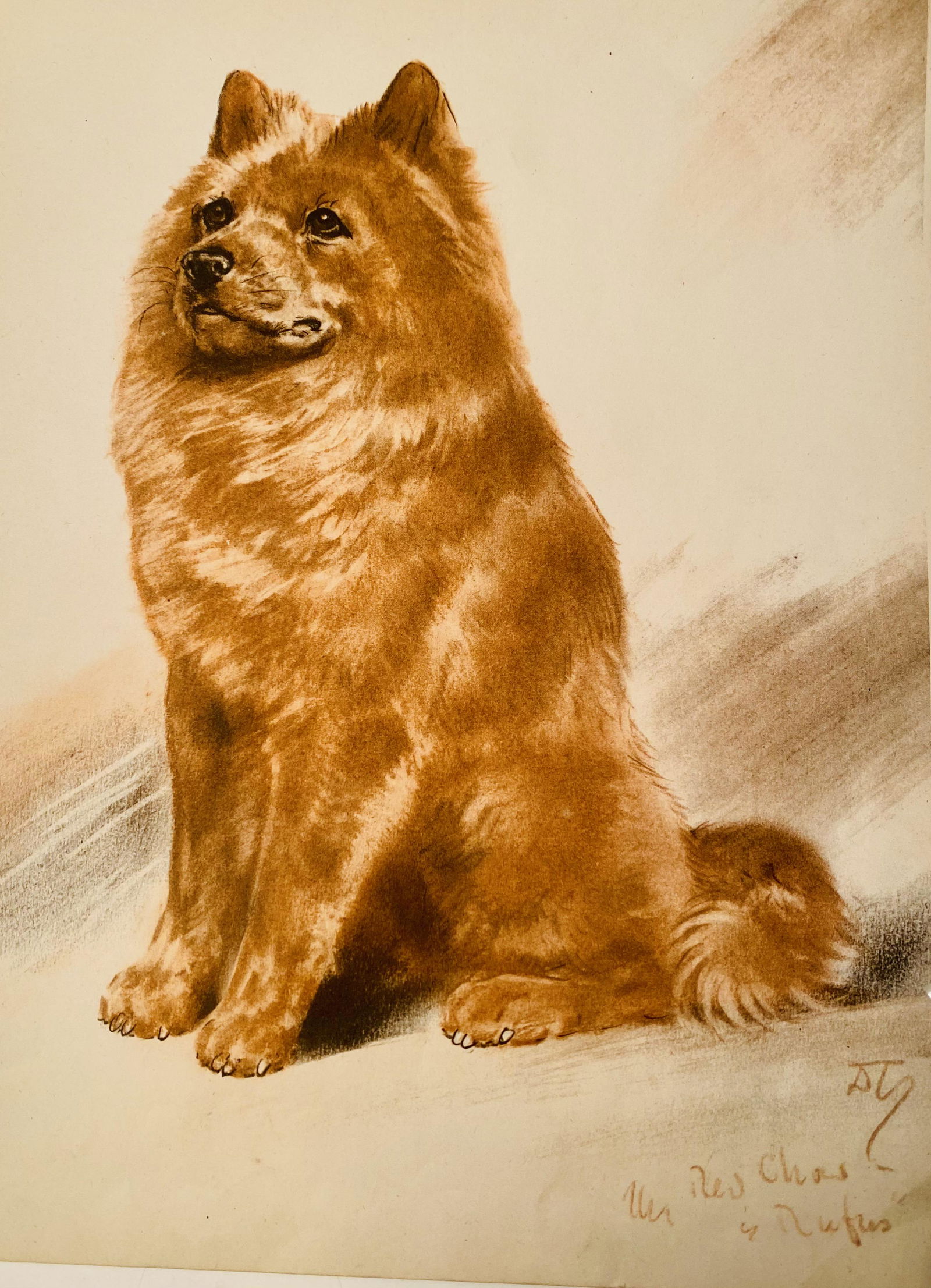 Watercolor of dog signed (1 of 5)