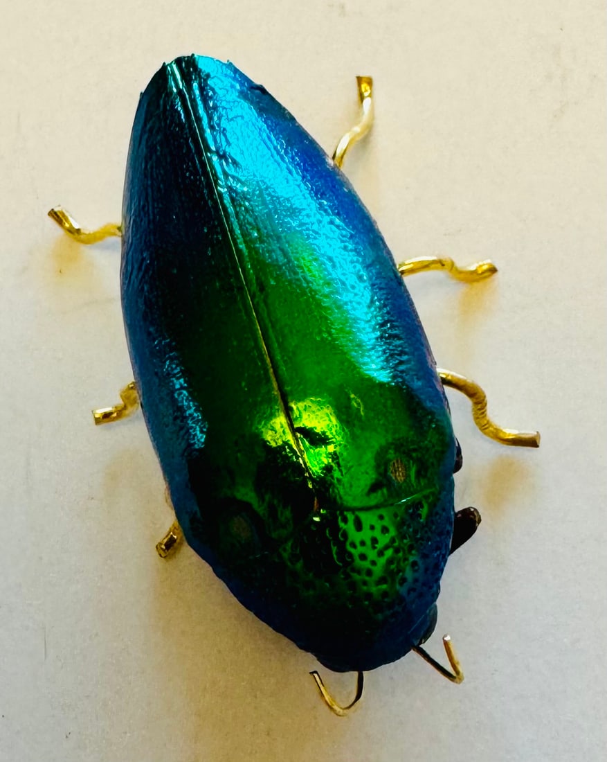 Beetle natural wing pin: Iridescent green natural beetle wings picked up from ground after beetles lose wings. Made into custom pins as shown and in excellent condition each being natural and great color