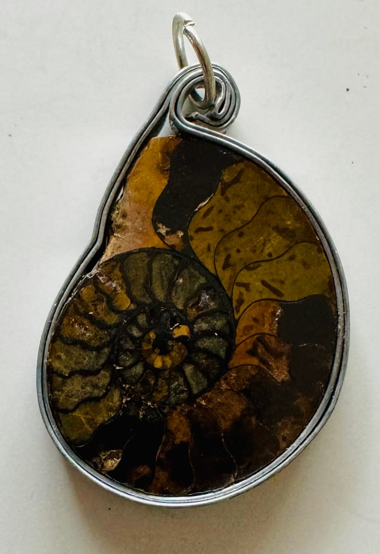 Ammonite bezel set pendant (1 of 2)