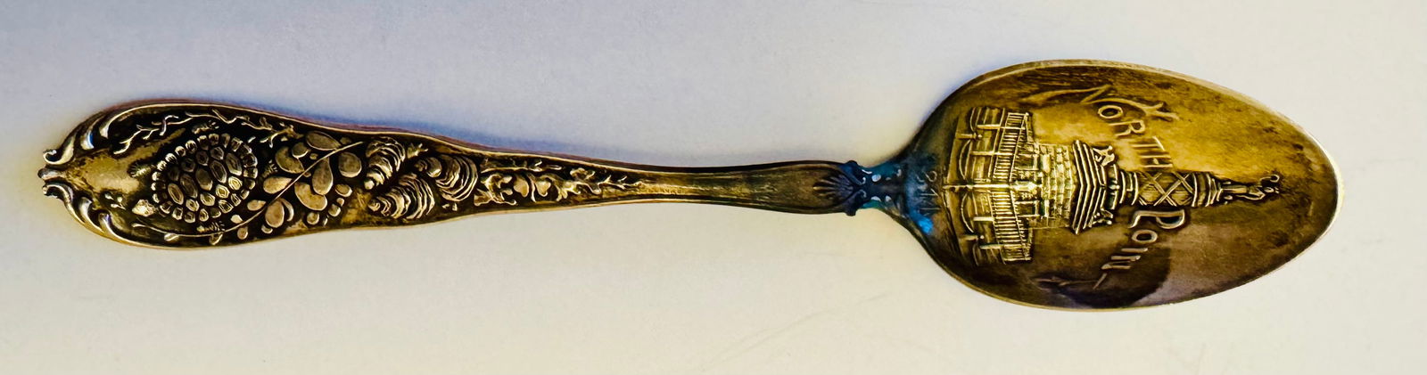 Antique Baltimore souvenir spoon /turtle - sea life (1 of 4)