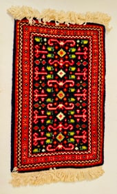Sampler oriental carpet / fringed