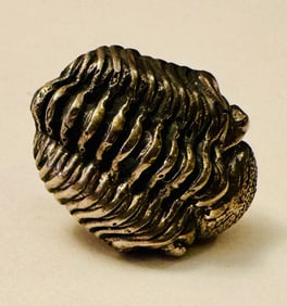 Trilobite sterling tie tac -