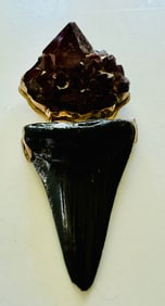 Shark tooth fossil sterling amethyst pendant