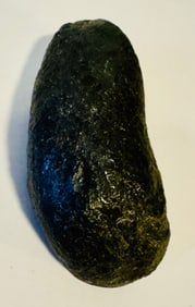 Fossil eardrum specimen from whale