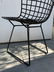 Pair of Original Harry Bertoia Side Chairs for Knoll - 7