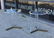 Fleur De Lis Occasional Tables by Charles Hollis Jones - 3