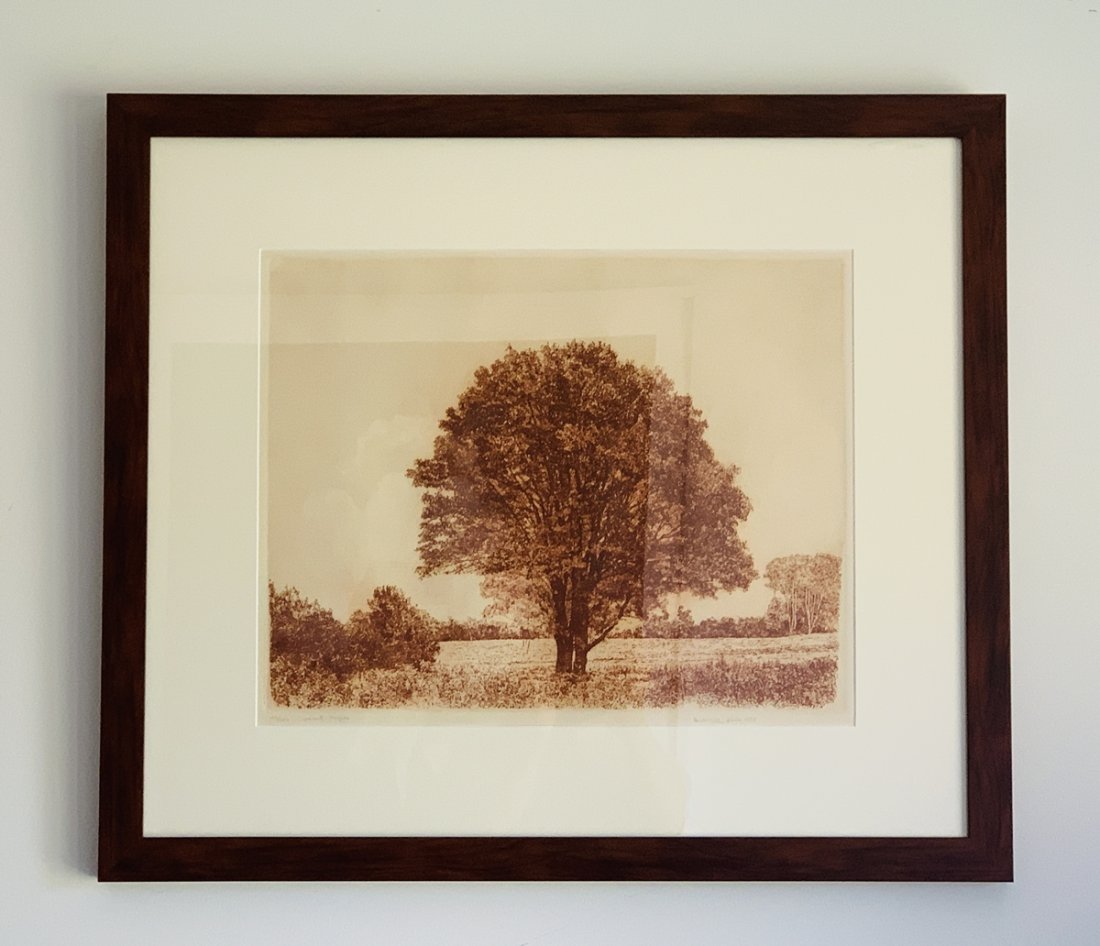 Herbert Fink, Classical Maple, Etching on Paper, 1979: Limited edition pencil signed and numbered 127/250 original fine art etching by the very well listed artist and print maker Herbert Fink. This is signed and dated in the lower right "Herbert Fink 1979