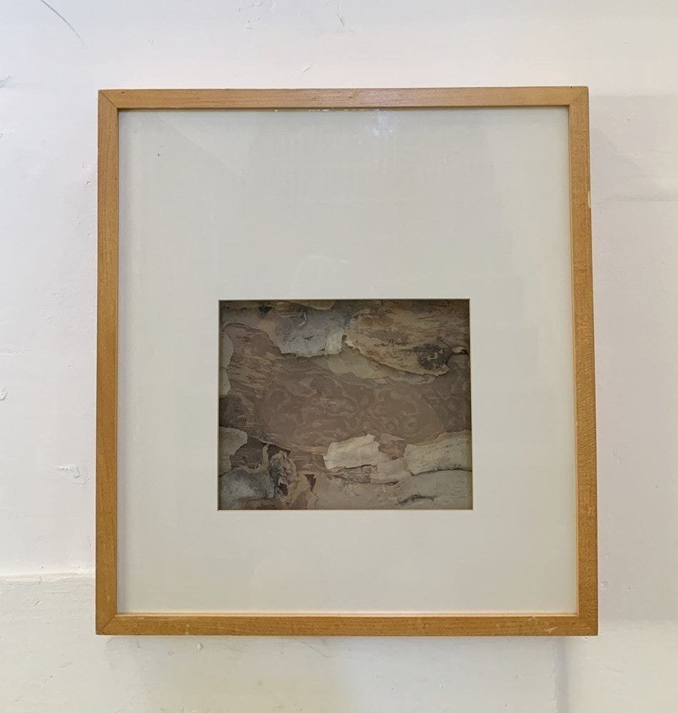 Framed Eucalyptus Bark by Mood Moss: Framed Eucalyptus by Mook Moss.Measurements:21.25 inches wide x 23.25 inches high x 2.75 inches deep All items are sold as is. The auction house does not warrant authenticity on any specific piece. TH