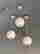 item-121072262=5