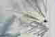 item-130538169=8