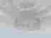item-130538219=9