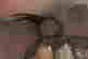 item-130538268=3