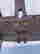 item-130538284=9