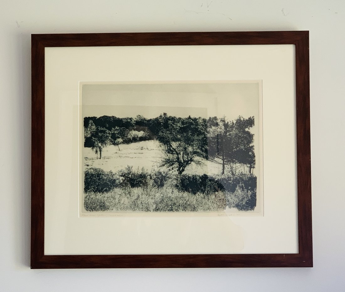 Herbert Fink, Annies Garden, Etching on Paper,1979: Limited edition pencil signed and numbered 53/250 original fine art etching by the very well listed artist and print maker Herbert Fink. This is signed and dated in the lower right "Herbert Fink 1979,