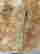 item-130538466=13
