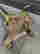 item-130538470=7