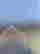 item-130538507=9