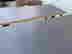 item-130538573=4