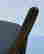 item-132832802=7