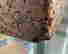 item-132832882=7