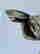 item-132833141=10