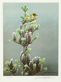 CAPE MAY WARBLER & BALSAM by Robert Bateman 736/950
