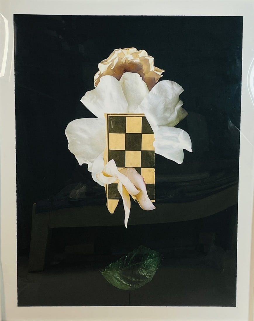 Nocturne No 1 by Molly Frances: Nocturne is a series of collaged pieces that peer into the world of magic and visual poetry. The piece is unframed. Measurements: 58 inches high x 46 inches wide x .25 inches deep. All items are sold 