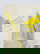 item-208532217=4