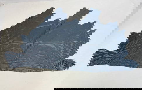 Black Leather Hide, unmarked: Black leather hide. Measurements: 97 inches long x 54 inches wide. (all measurements are approximate and to the widest and longest points) All items are sold as is. The auction house does not