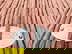 item-209248621=12
