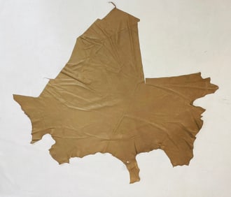 Brown Leather Hide