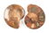 A GROUP OF THREE GRADUATED BISECTED POLISHED AMMONITE - 11