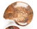 A GROUP OF THREE GRADUATED BISECTED POLISHED AMMONITE - 13