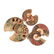 A GROUP OF THREE GRADUATED BISECTED POLISHED AMMONITE