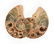 A GROUP OF THREE GRADUATED BISECTED POLISHED AMMONITE - 2