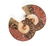 A GROUP OF THREE GRADUATED BISECTED POLISHED AMMONITE - 6