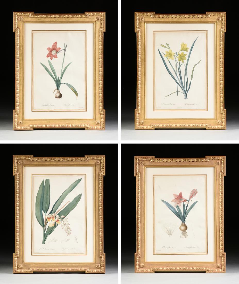 after PIERRE JOSEPH REDOUTÉ (Belgian/French 1759-1840): after PIERRE JOSEPH REDOUTÉ (Belgian/French 1759-1840) A GROUP OF FOUR BOTANICAL PRINTS, hand colored stipple engraving on paper, "Amaryllis Equestrus/Amaryllis Equestre," de Gouy, Plate 32; Amarylli