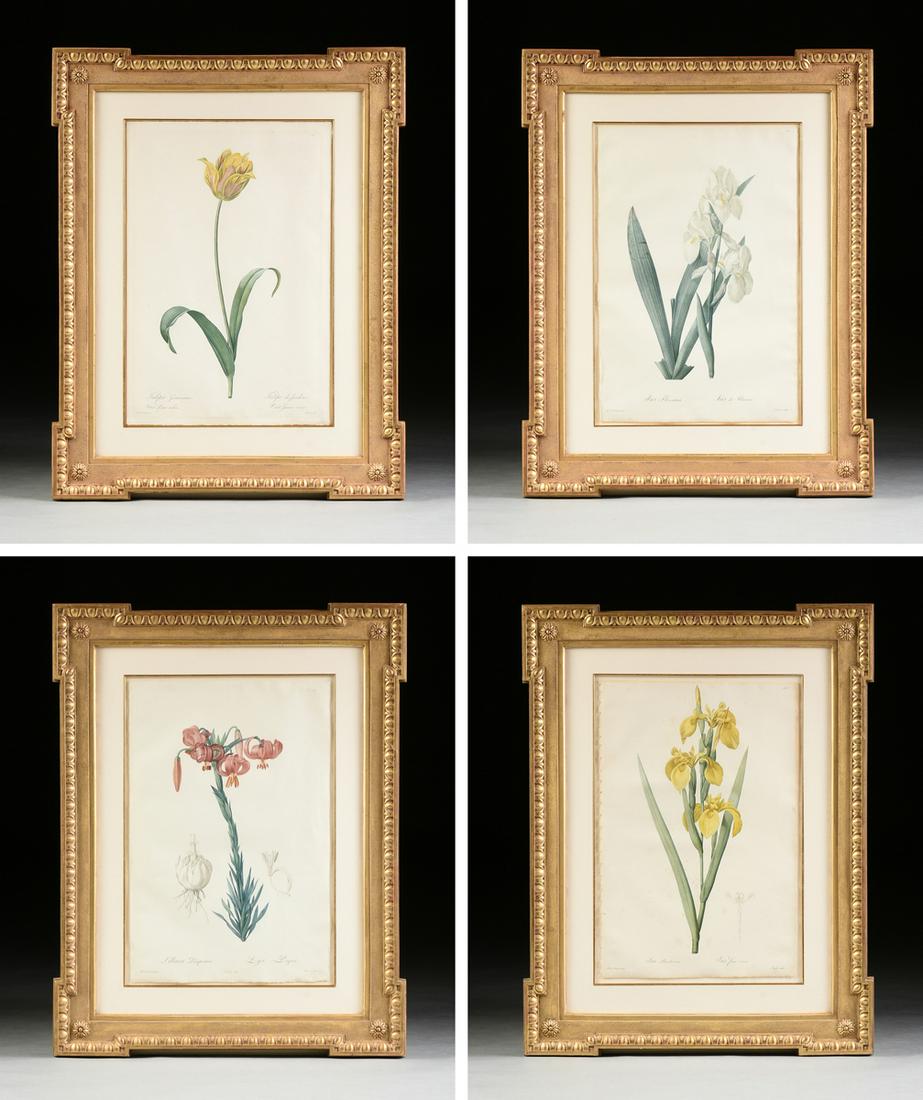 after PIERRE JOSEPH REDOUTÉ (Belgian/French 1759-1840): after PIERRE JOSEPH REDOUTÉ (Belgian/French 1759-1840) A GROUP OF FOUR BOTANICAL PRINTS, hand colored stipple engraving on paper, "Iris Florentina/Iris de Florence," Tassert, Plate 23; "Lillium P