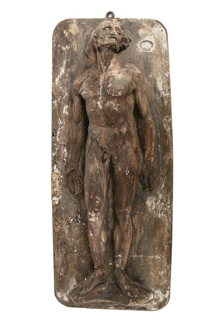 attributed to JULES TALRICH (French 1826-1904) A: attributed to JULES TALRICH (French 1826-1904) A PLASTER MEDICAL MODEL, "Anatomical Study of Man," PARIS, CIRCA 1867, the polychrome plaster model of a bisected man with one half flayed (ecorche) reve