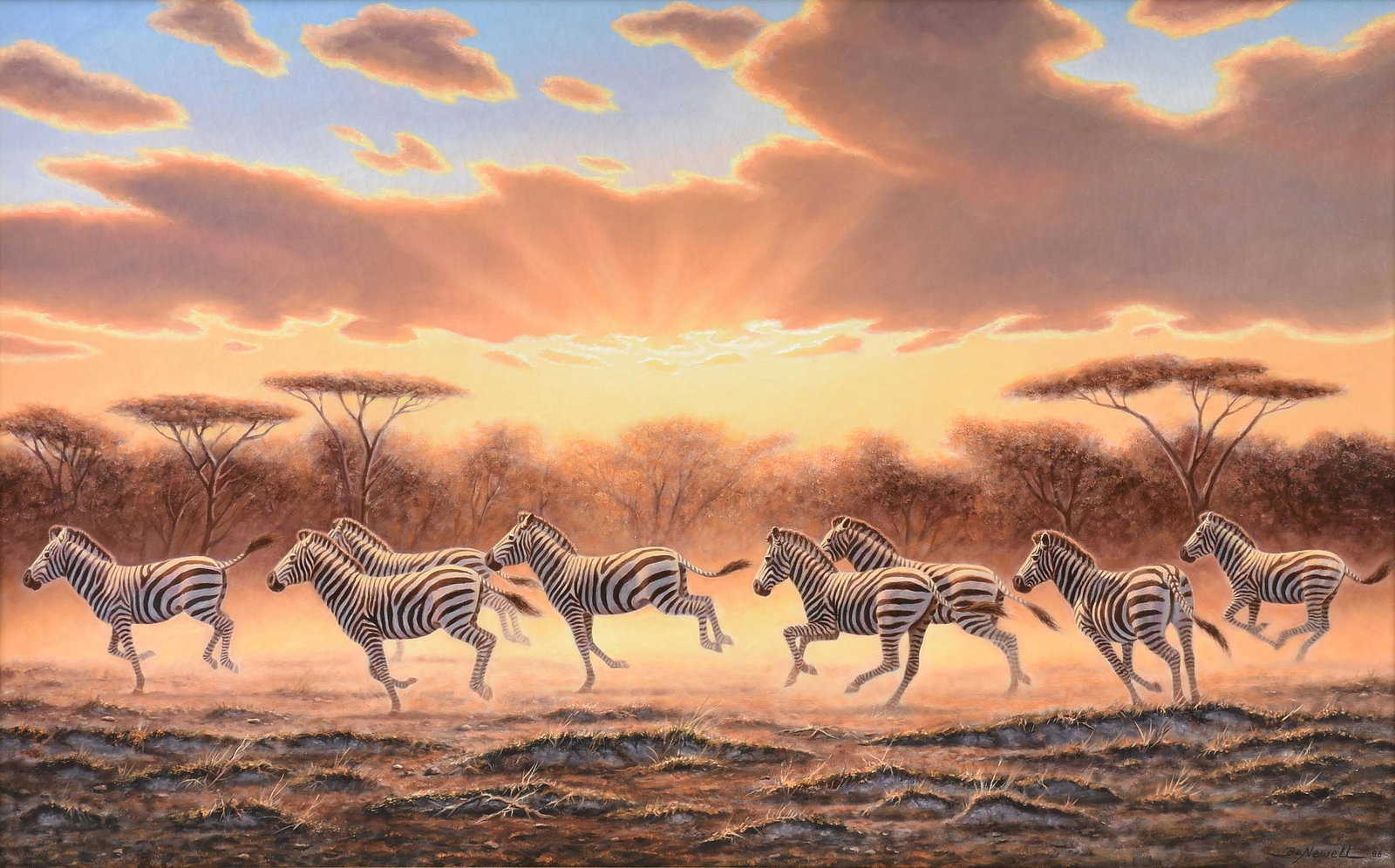 BO NEWELL (American/Texas 20th/21st Century) A: BO NEWELL (American/Texas 20th/21st Century) A PAINTING, "Zebras Galloping at Sunset," 1986, oil on canvas, signed and dated L/R. 29" x 47 1/2"