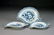 144: A CHINESE BLUE AND WHITE PORCELAIN LEAF FORM DISH,