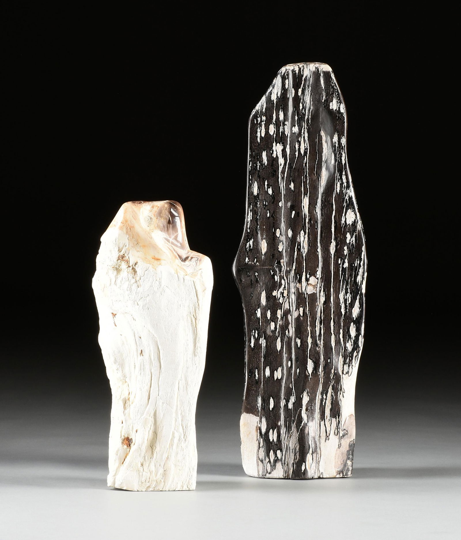 A GROUP OF TWO PREHISTORIC PETRIFIED WOOD FOSSIL (1 of 10)